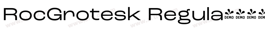 RocGrotesk Regula字体转换